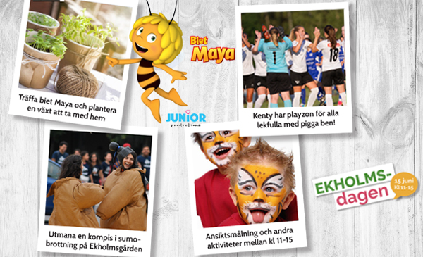 Ekholmsdagen 2019